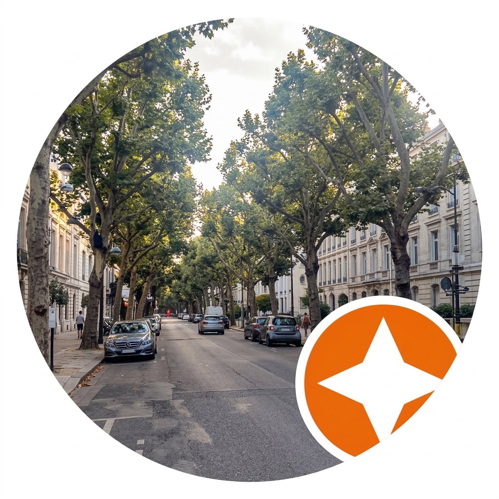 الرئيسية review3